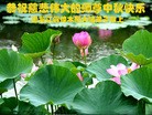 ֹ,ľ˹󷨵ӹףʦ(26)