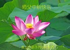 ֹ,󷨵ӹףʦ(24)