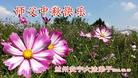 ֹ,󷨵ӹףʦ(25)