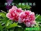 ֹ,ɶ󷨵ӹףʦ(26)