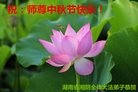 ֹ,ϴ󷨵ӹףʦ(28)