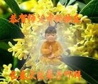 ֹ,󷨵ӹףʦ(22)