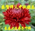 ֹ,󷨵ӹףʦ(22)