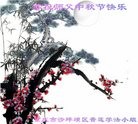 法轮功,重庆大法弟子恭祝师尊中秋快乐(22条)