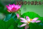 ֹ,㶫󷨵ӹףʦ(27)