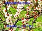 ֹ,󷨵ӹףʦ(26)