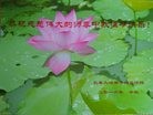 ֹ,󷨵ӹףʦ(24)