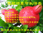 法轮功,山东大法弟子恭祝师尊中秋好(27条)