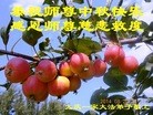 ֹ,󷨵ӹףʦ(18)
