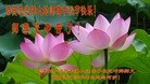 ֹ,󷨵ӹףʦ(26)