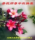 ֹ,ʡ󷨵ӹףʦ(19)
