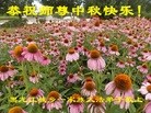 ֹ,󷨵ӹףʦ(19)
