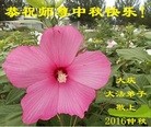 ֹ,󷨵ӹףʦ(18)
