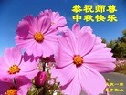 ֹ,󷨵ӹףʦ(18)
