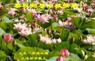 ֹ,󷨵ӹףʦ(18)
