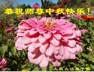 ֹ,󷨵ӹףʦ(18)
