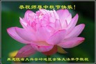 ֹ,󷨵ӹףʦ(19)
