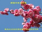法轮功,黑龙江大法弟子恭祝师尊中秋好(19条)
