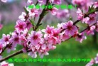 ֹ,󷨵ӹףʦ(19)
