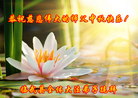 ֹ,ϴ󷨵ӹףʦ(24)