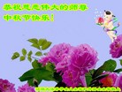 ֹ,ʡ󷨵ӹףʦ(22)
