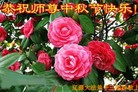 ֹ,ʡ󷨵ӹףʦ(22)
