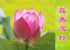 法轮功,河北大法弟子恭祝师尊中秋好(23条)
