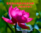 ֹ,󷨵ӹףʦ(29)