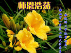 法轮功,广东大法弟子恭祝师尊中秋好(26条)