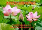 ֹ,󷨵ӹףʦ(18)
