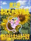 ֹ,󷨵ӹףʦ(20)
