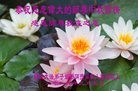 ֹ,Ϋ󷨵ӹףʦ(27)
