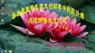 ֹ,Ϋ󷨵ӹףʦ(23)