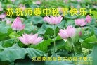 ֹ,󷨵ӹףʦ(21)
