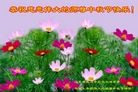 Published on 9/12/2016 ���ֹ�,��½���չ�ף���־��ʦ�����(24��)
