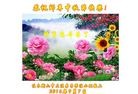 ֹ,ľ˹󷨵ӹףʦ(18)
