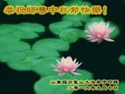 ֹ,ʴ󷨵ӹףʦ(29)