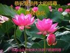 ֹ,㶫󷨵ӹףʦ(29)
