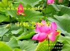 法轮功,山西大法弟子恭祝师尊中秋好(22条)
