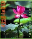 法轮功,河南大法弟子恭祝师尊中秋好(25条)
