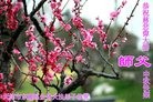 ֹ,󷨵ӹףʦ(25)
