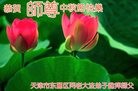 ֹ,󷨵ӹףʦ(25)
