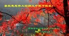ֹ,д󷨵ӹףʦ(20)
