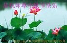 ֹ,󷨵ӹףʦ(23)
