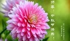 法轮功,河南大法弟子恭祝师尊中秋好(25条)
