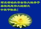 ֹ,ӱ󷨵ӹףʦ(24)
