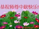 ֹ,ɶ󷨵ӹףʦ(25)
