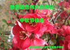ֹ,ʡ󷨵ӹףʦ(25)