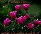 ֹ,ϴ󷨵ӹףʦ(27)
