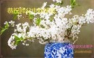 ֹ,մ󷨵ӹףʦ(27)
